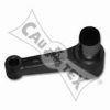 CAUTEX 480152 Steering Arm